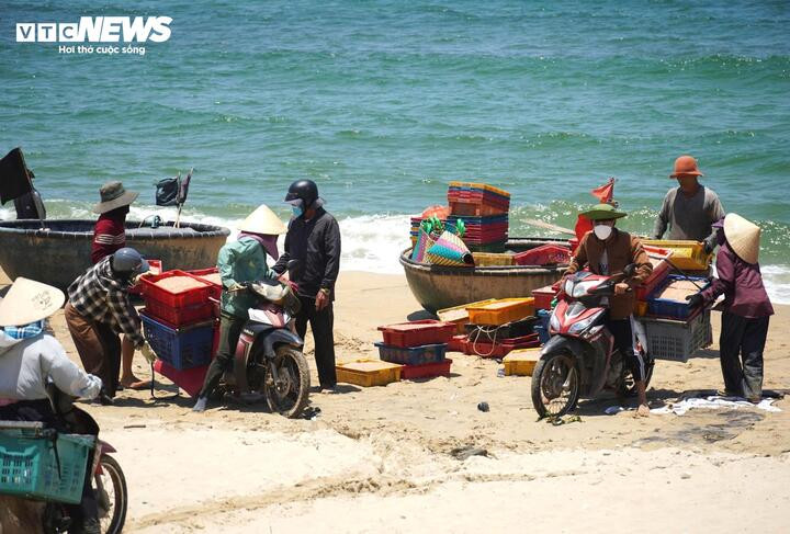 Những ngày gần đây, từ sáng sớm cho đến xế trưa, tại khu vực ven bờ thuộc xã bãi ngang Duy Nghĩa, TP Đà Nẵng, tràn ngập bầu không khí tất bật của cảnh mua bán ruốc biển.