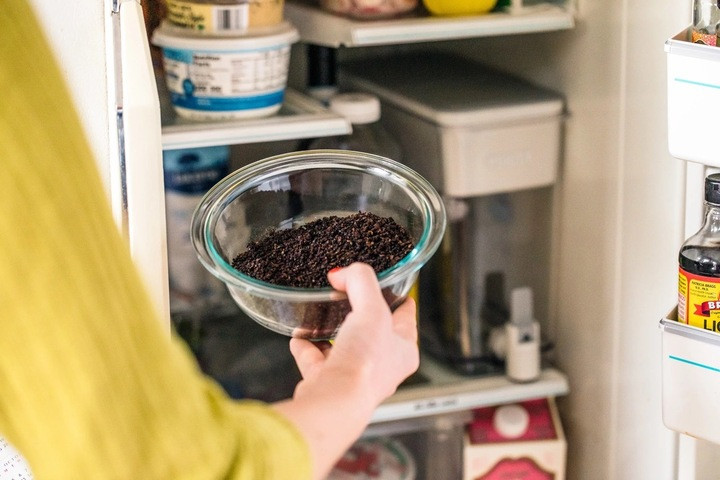 Bã cà phê nên để trong cả ngăn mát lẫn ngăn đá tủ lạnh. (Ảnh: Kitchn)