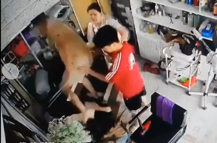 Hình ảnh người đàn ông và một thiếu niên lao vào hành hung phụ nữ đang ôm con nhỏ.