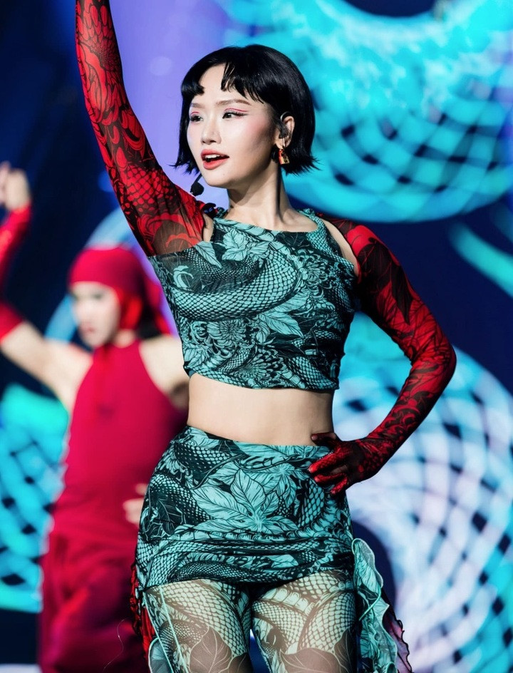 Trước khi bị khởi tố, Miu Lê từng là một nghệ sĩ đa năng của showbiz Việt.