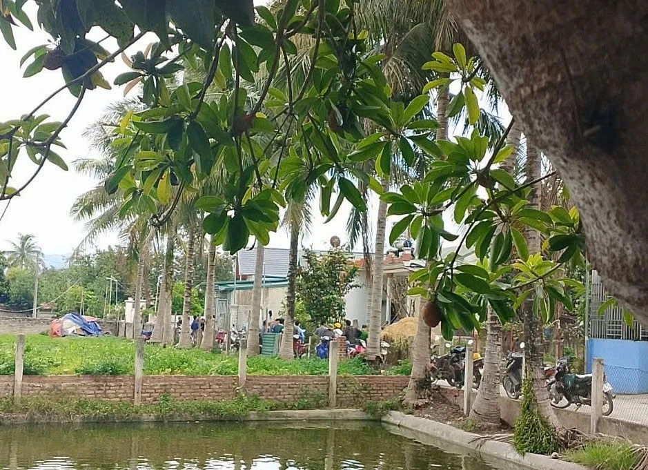 bo de dung dao lam con trai tu vong sau mau thuan gia dinh o Dien bien hinh anh 1