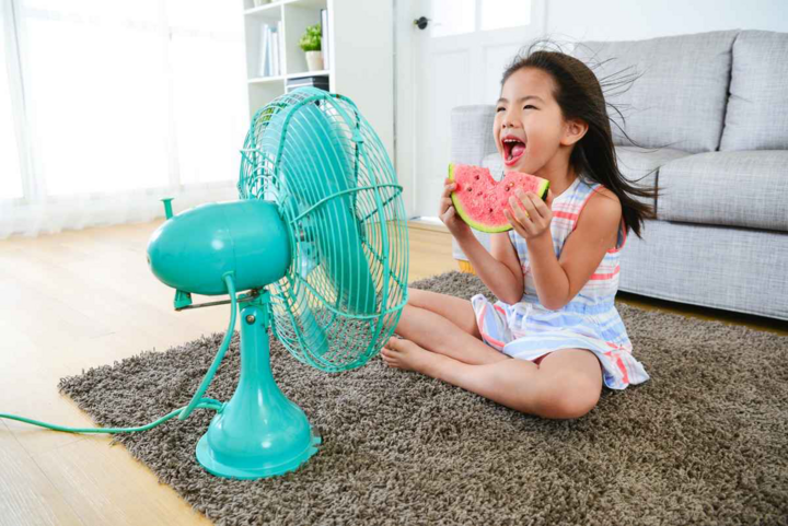 Chiếc quạt là vật dụng quen thuộc mùa hè, nhưng nhiều người chưa dùng đúng cách. (Ảnh: Seek)