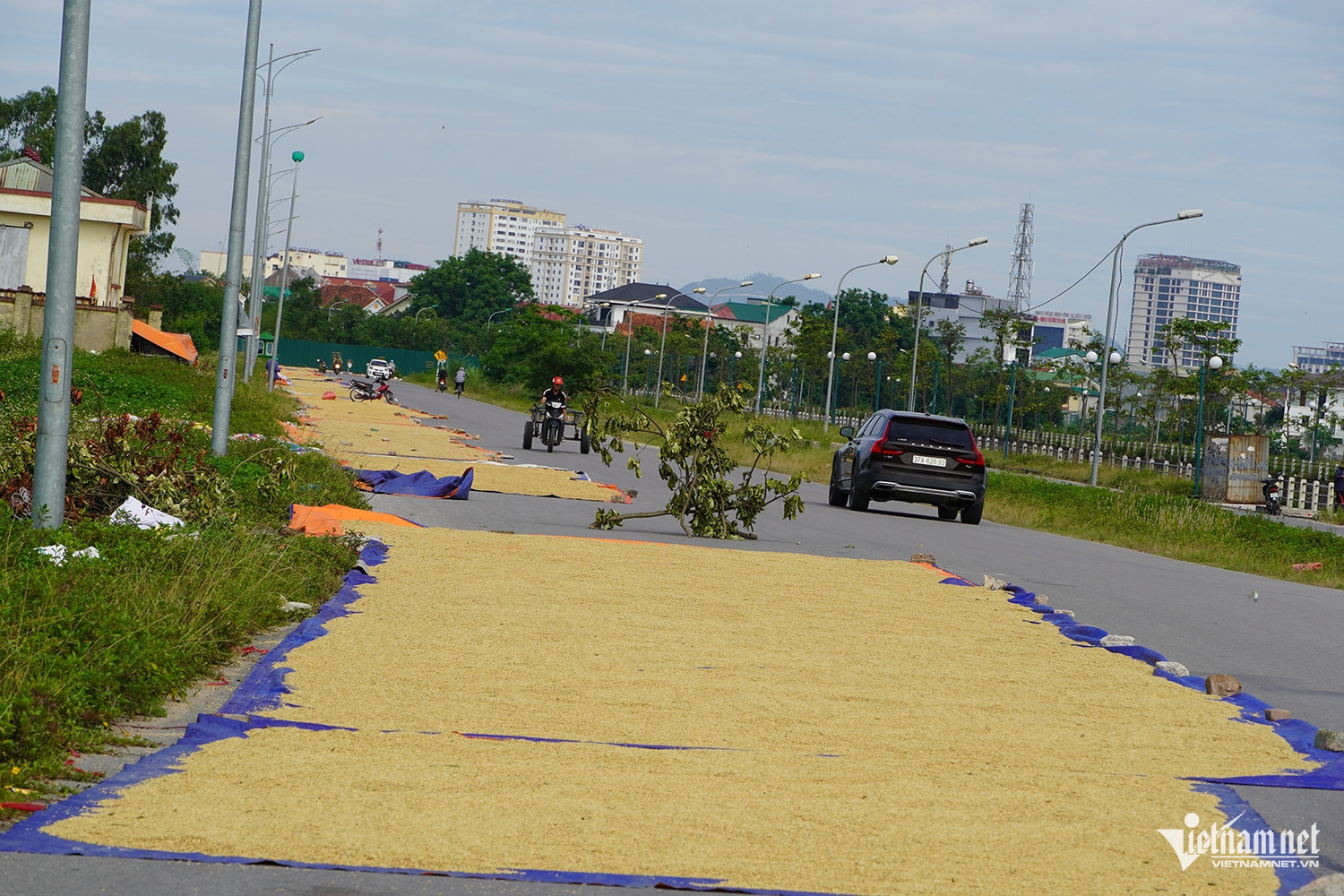 W-phơi lúa 5.JPG.jpg