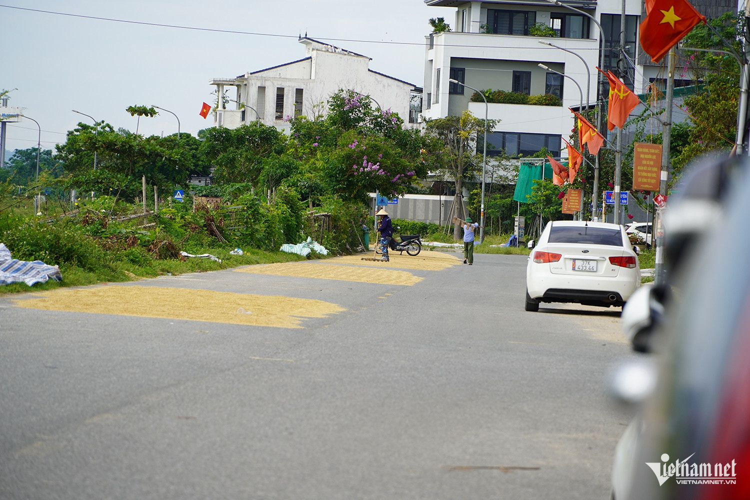 W-phơi lúa 1.JPG.jpg