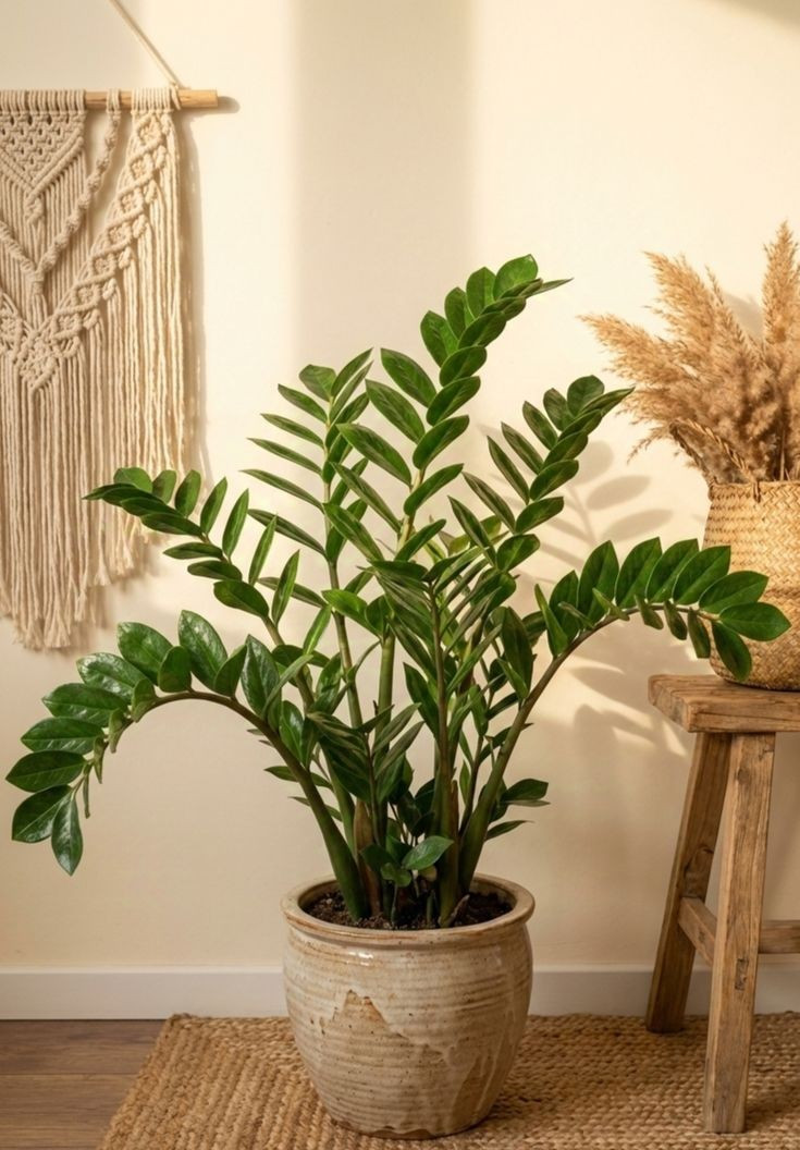 8d09fd98b066e2a9c24887f8beda1aa8-1779186177.jpg