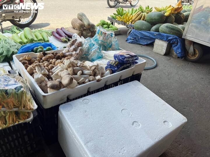 Nấm đùi gà được lấy ra từ thùng xốp bên cạnh, không bao bì, không nhãn mác khi bán lẻ.