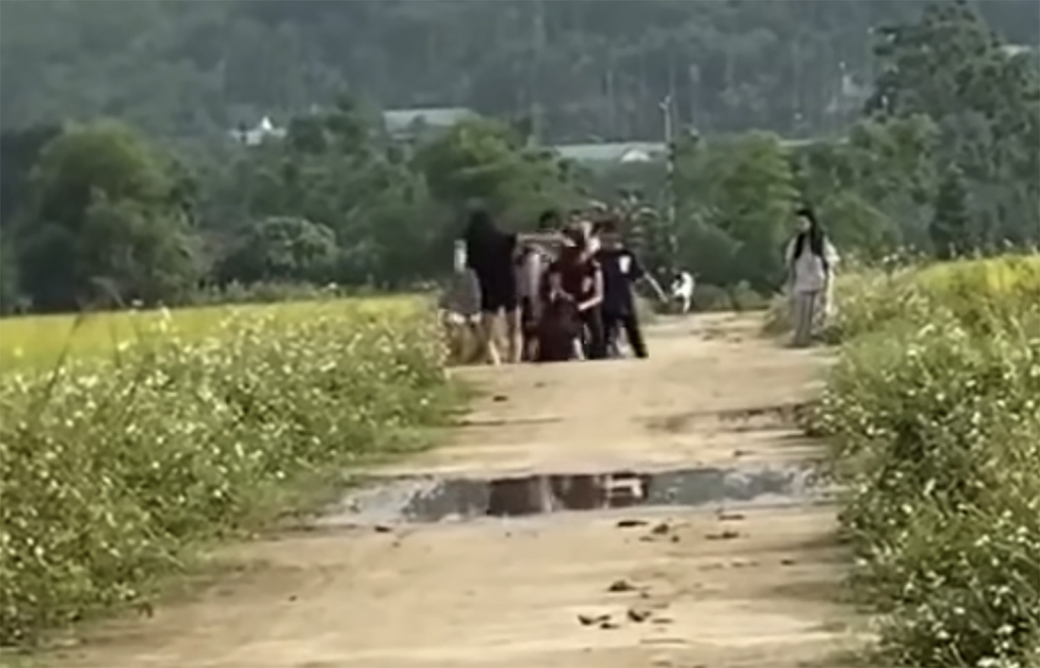 nữ sinh bị đánh hội đồng.jpg