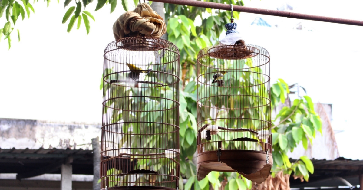Chị gái sinh được 1 tháng tôi lên phố thăm, thấy việc anh rể làm với chị, tôi khuyên ly hôn插图2