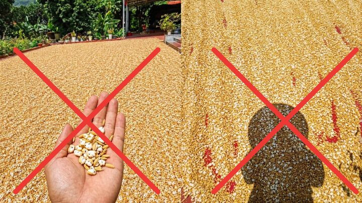 Hành vi đăng ảnh giả câu like, kiếm tương tác khiến dư luận bức xúc.