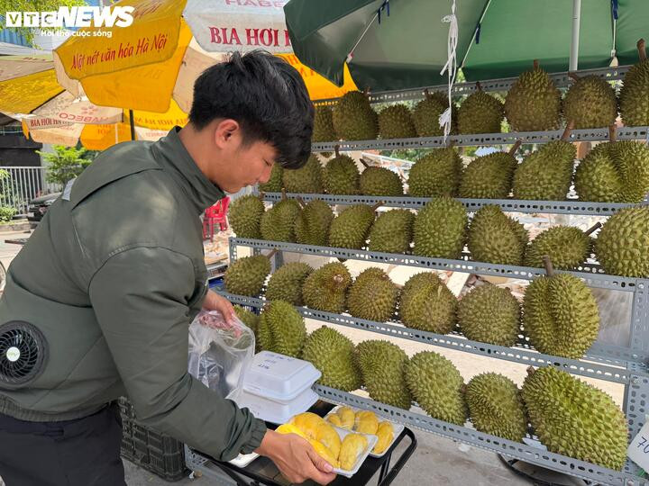 Theo tiểu thương, sầu riêng giá rẻ chủ yếu là hàng dạt, ít múi hoặc chất lượng không đồng đều.