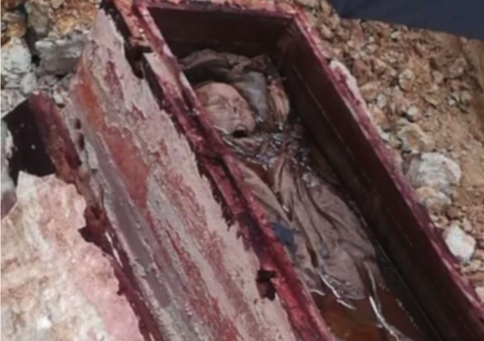 screenshot-1778029629-1778029653.png
