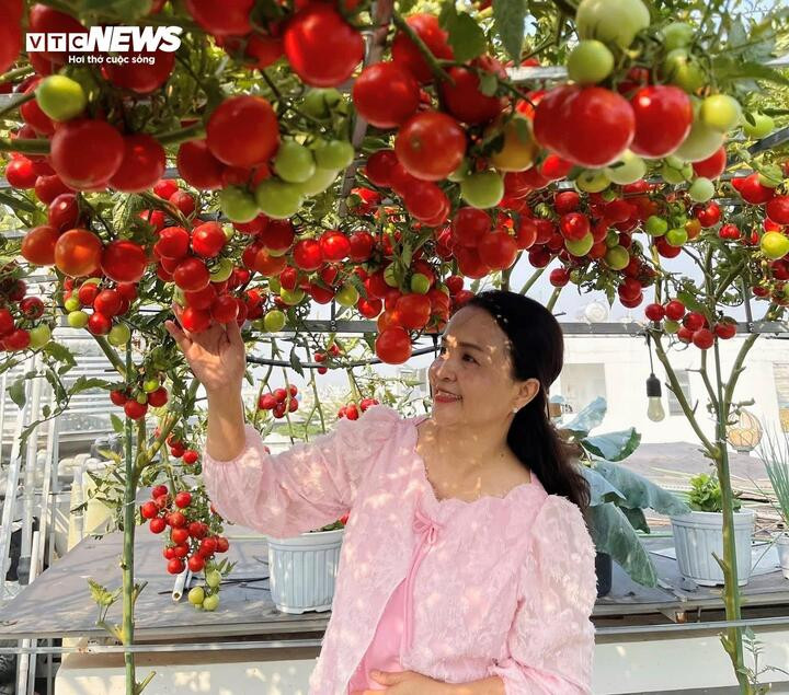 Toàn bộ khu vườn sử dụng phân bón hữu cơ do chị tự tay chuẩn bị. Hỗn hợp chuối, đậu nành và cá được ủ trong thùng lớn, kết hợp với phân chim yến và phân dơi, tạo nguồn dinh dưỡng tự nhiên giúp cây phát triển khỏe mạnh, cho trái sạch và an toàn.