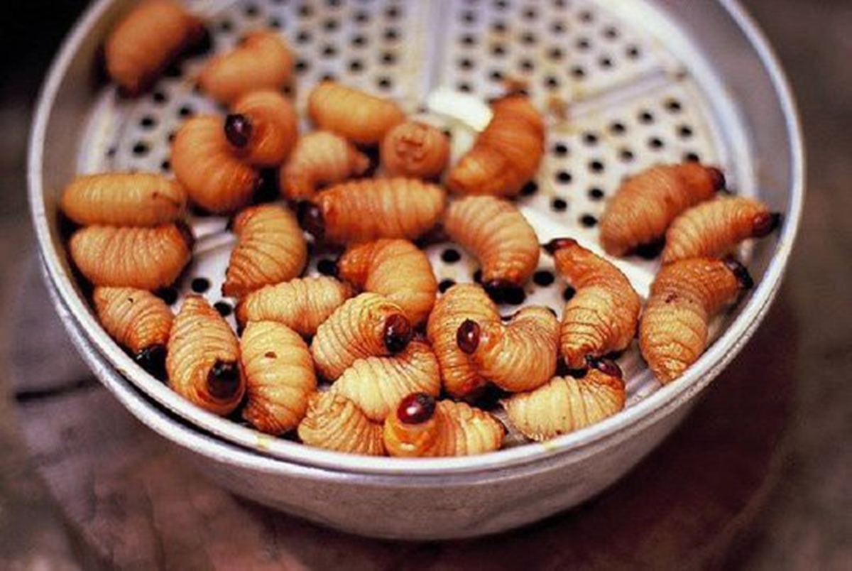 Món đặc sản nhìn tưởng “kinh dị”, giá 400.000 đồng/kg vẫn có người mua - Ảnh 1.