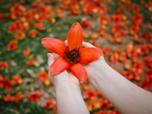Đúng ngày mai, thứ Hai 15/6/2026, 3 con giáp may mắn sẽ có được muôn vàn Phú Quý bình an, sự nghiệp bay cao, hầu bao căng chặt - Ảnh 2