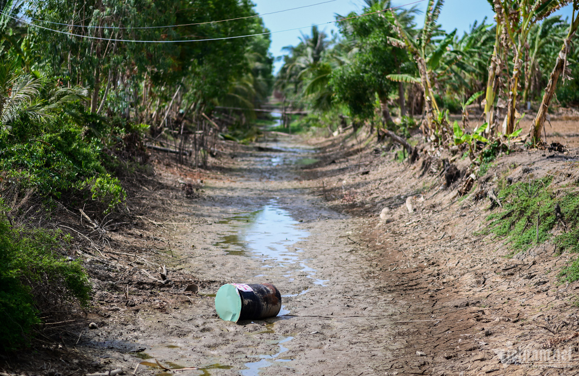 El Nino hình thành nhanh, liệu nắng nóng hơn 1 tháng như năm 2015 có tái diễn?插图2 w han man tien giang nguyen.jpg