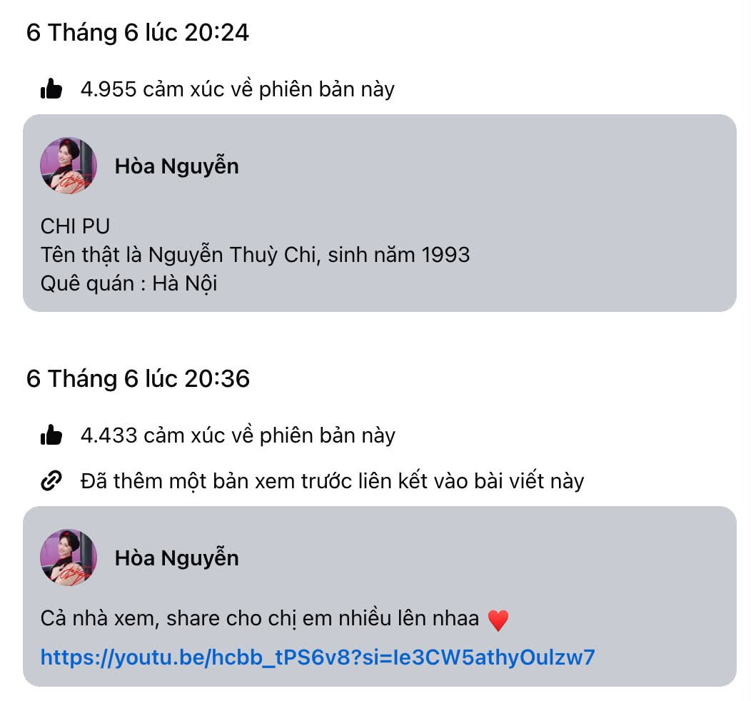 Hoà Minzy sửa vội câu “đu trend” gây tranh cãi với Chi Pu - áº¢nh 2.