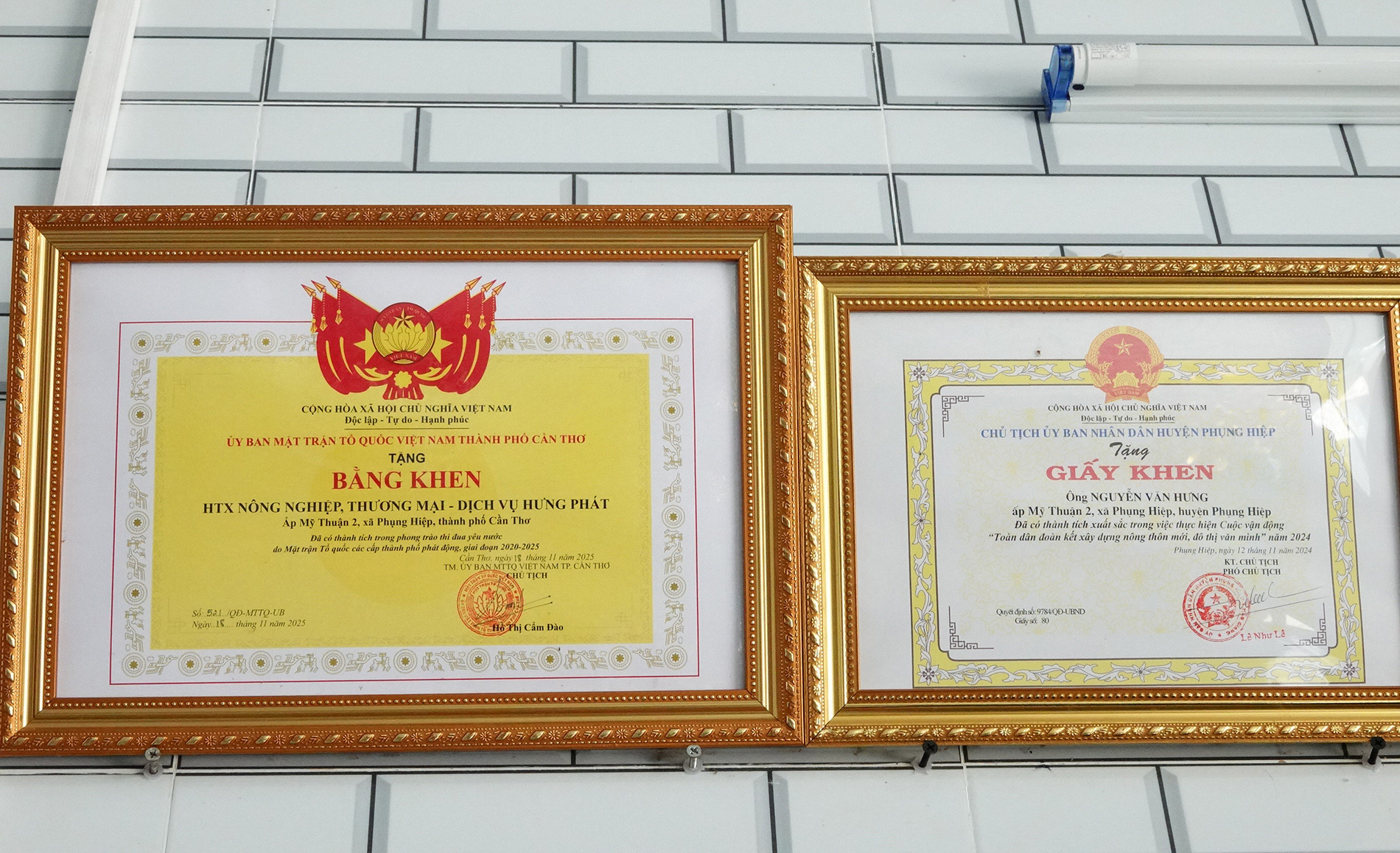 Nuôi chồn.jpg