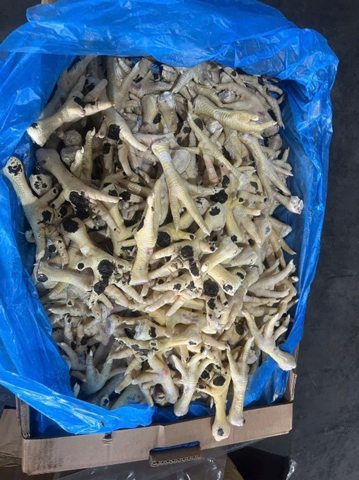 Nữ giám đốc ở Hà Nội bị khởi tố vì buôn lậu hàng nghìn tấn chân gà đông lạnh插图2 aaaaaaaaaaaaaaaaaaaaa.jpg