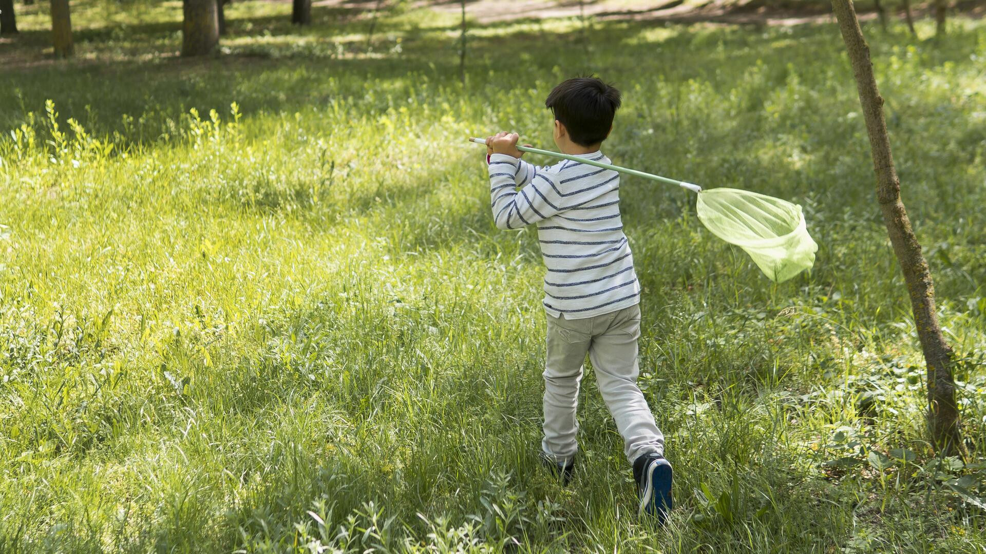 long shot boy trying catch butterflies (1).jpg
