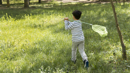 long shot boy trying catch butterflies (1).jpg