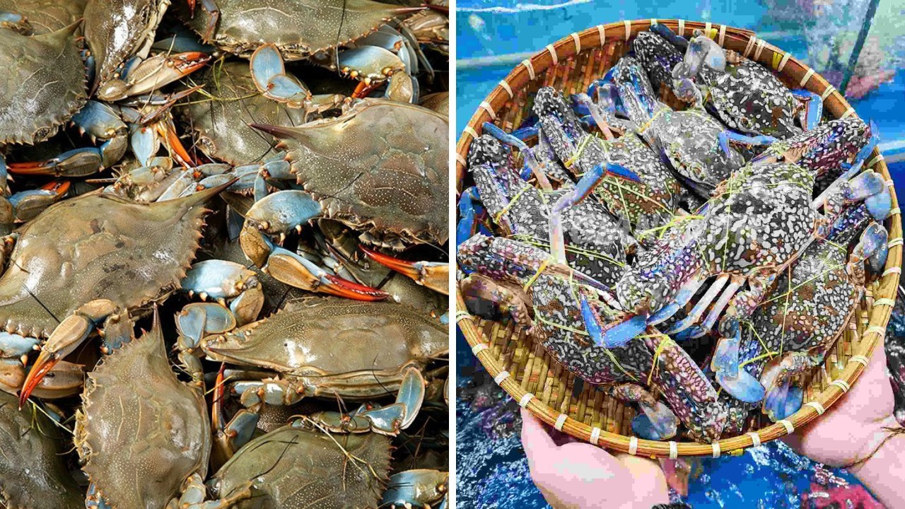 7-1782199329.jpg