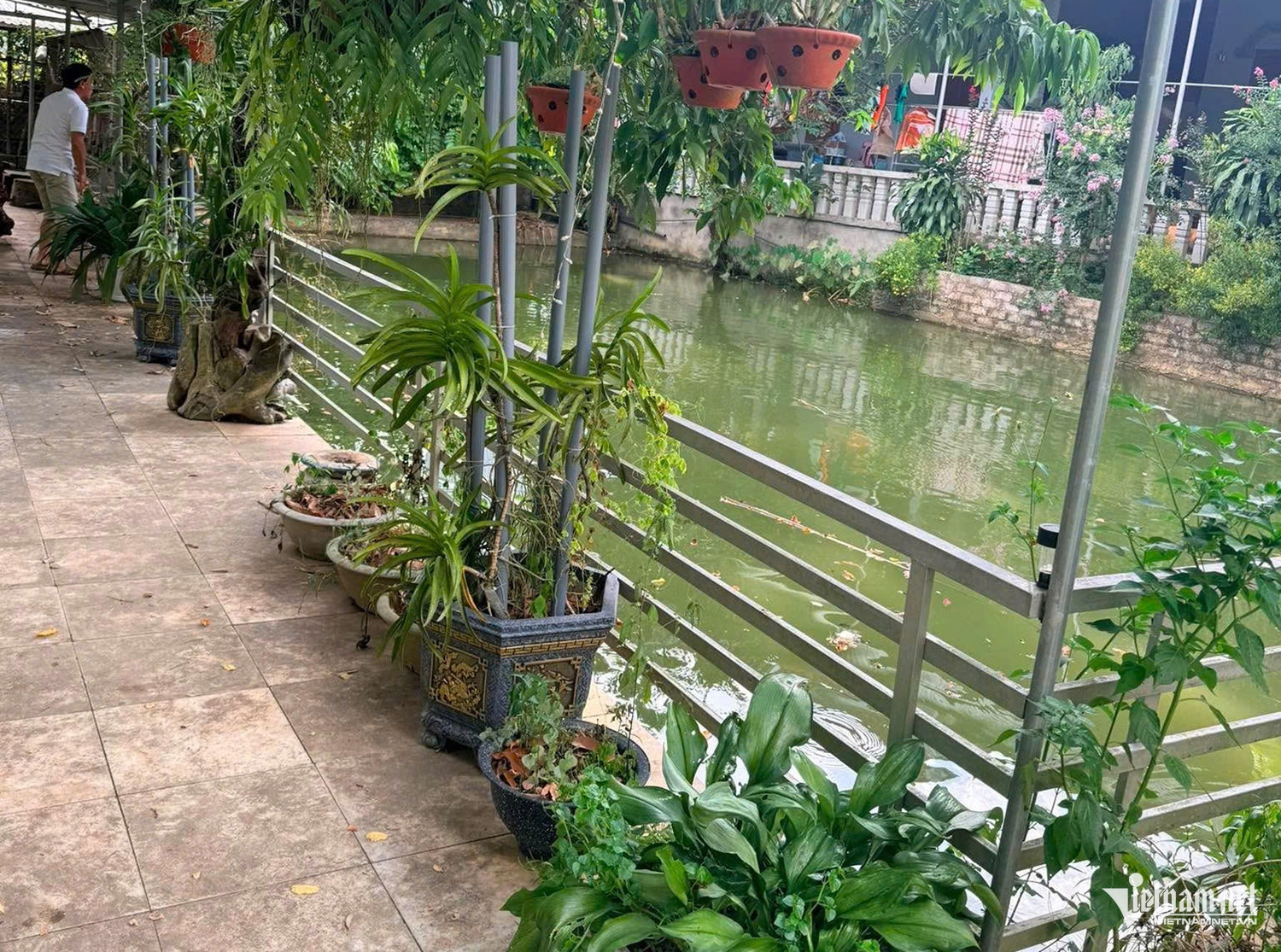 W-hiện trường đuối nước.jpg