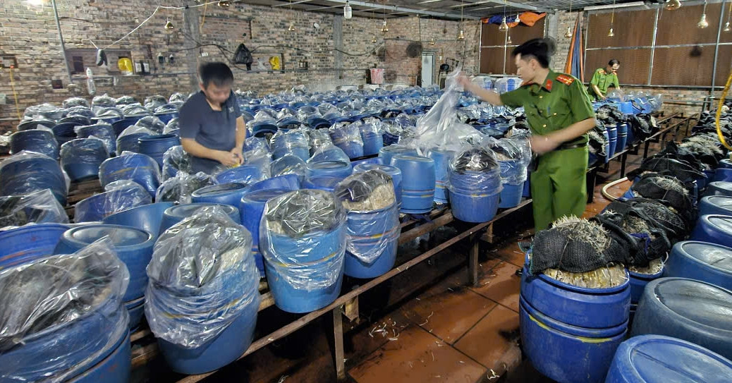 'Nước kẹo' ủ gần 1.000 tấn giá đỗ gây nguy hại ra sao tới sức khỏe?插图1 'Nước kẹo' ủ gần 1.000 tấn giá đỗ gây nguy hại ra sao tới sức khỏe?插图1