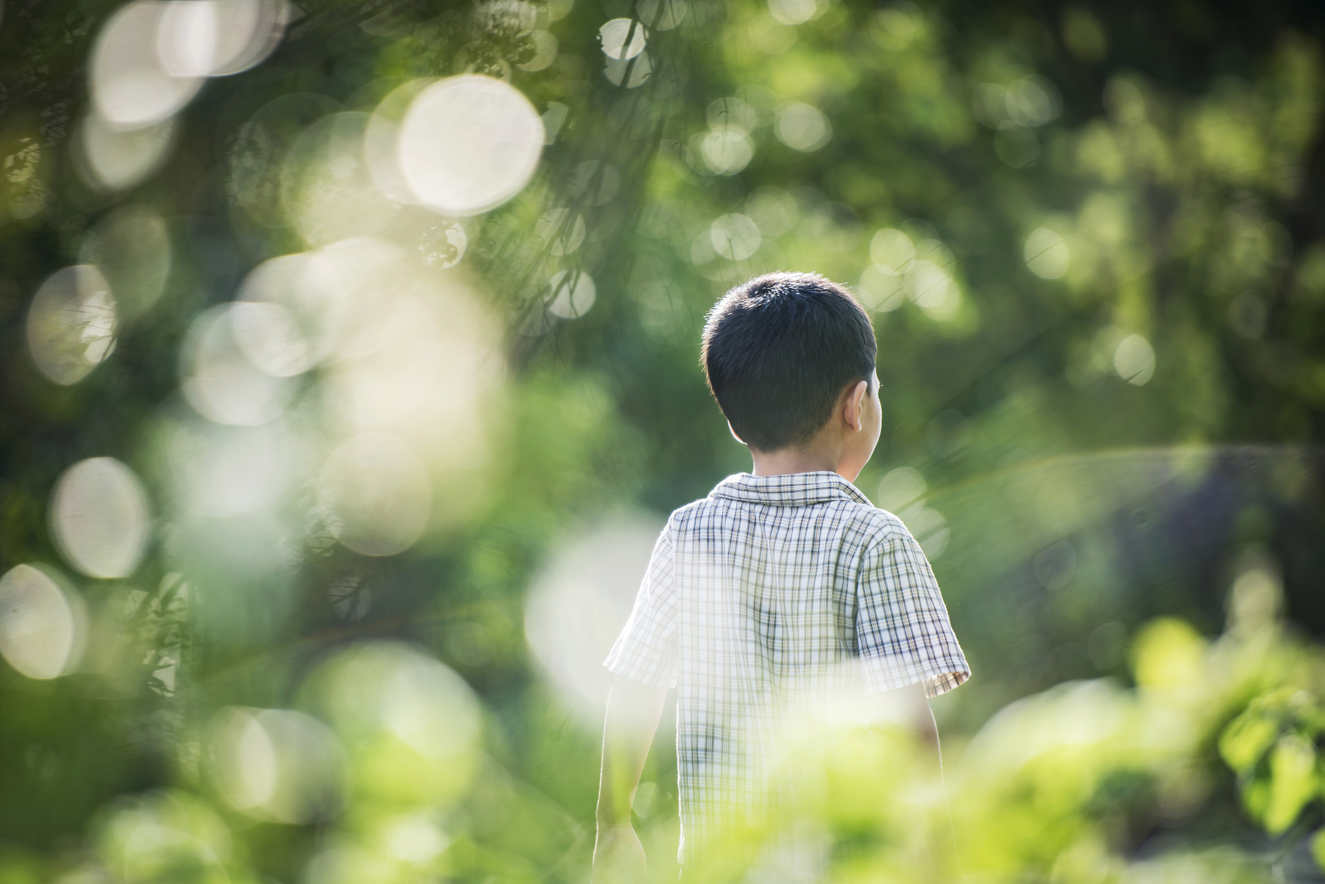 close up rear little boy walking park (1).jpg