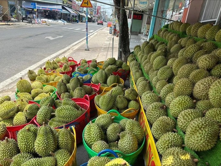 Theo các tiểu thương, sầu riêng phải trên 60.000 đồng/kg mới có thể đảm bảo chất lượng.