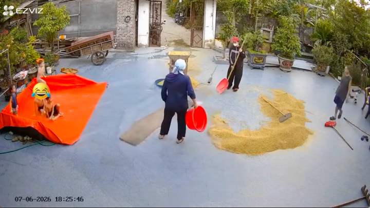Mỗi mùa hè, dân mạng luôn thấy phấn khích khi xem clip tinh nghịch của các cháu bé. (Ảnh chụp màn hình)