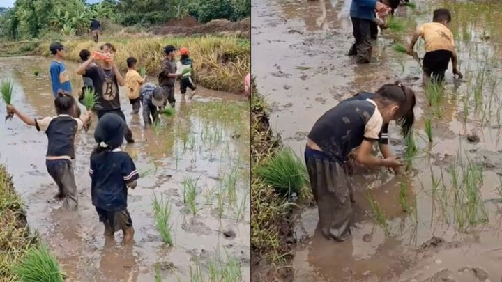 Dân mạng không ngớt lời khen các em nhỏ, mong gia đình sớm