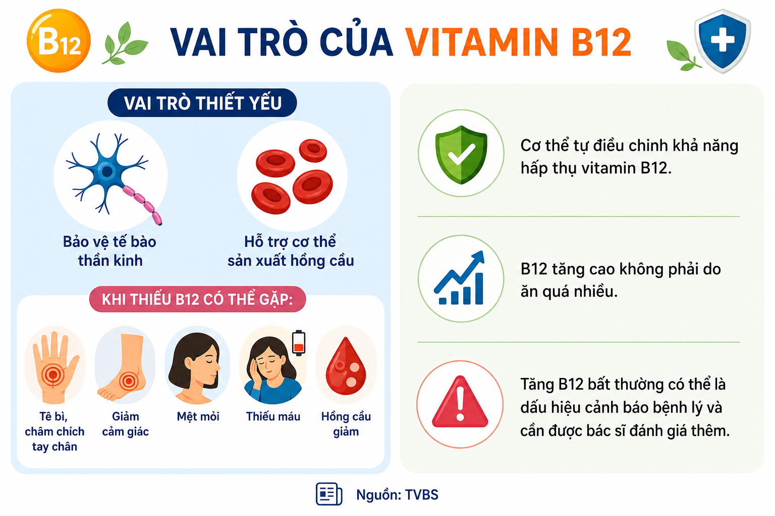 Vitamin B12.png