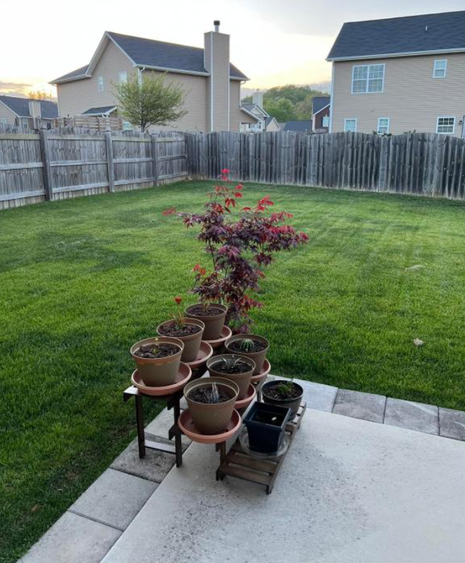 screenshot-2026-07-16-151629-1784189848.png