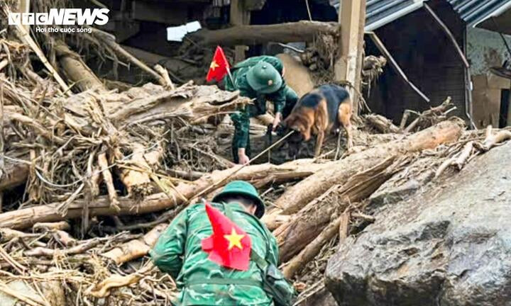 Đội sử dụng chó nghiệp vụ của Trường Trung cấp 24 Biên phòng tham gia tìm kiếm cứu nạn tại bản Chít, xã Mường Than, tỉnh Lai Châu.
