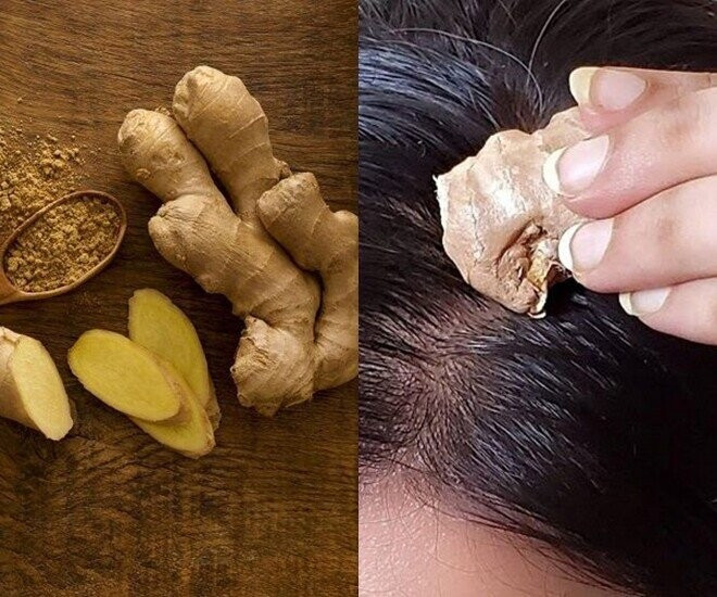 Chị em chỉ cần thêm thứ này vào dầu gội: Sau 7 ngày tóc dày hơn, mềm mượt thấy rõ插图1 Chị em chỉ cần thêm thứ này vào dầu gội: Sau 7 ngày tóc dày hơn, mềm mượt thấy rõ插图1