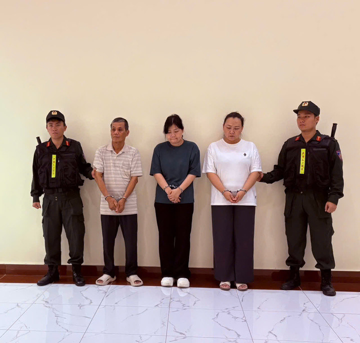 Nhóm bị can liên quan đường dây làm giả hồ sơ,