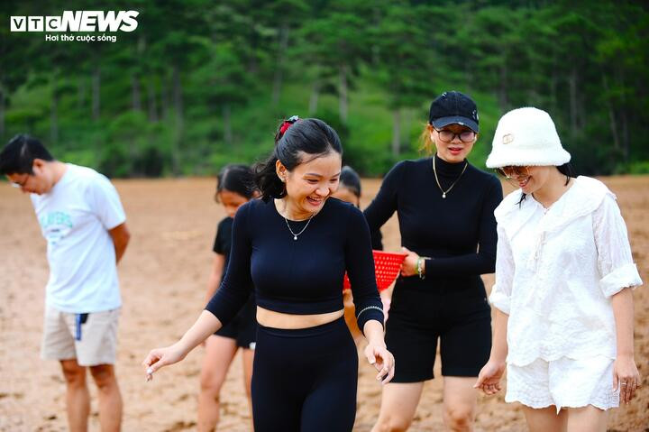 Không những các em nhỏ thích thú, nhiều phụ huynh cũng say sưa đi nhặt ốc cùng các con và trò chuyện với nhiều phụ huynh khác.