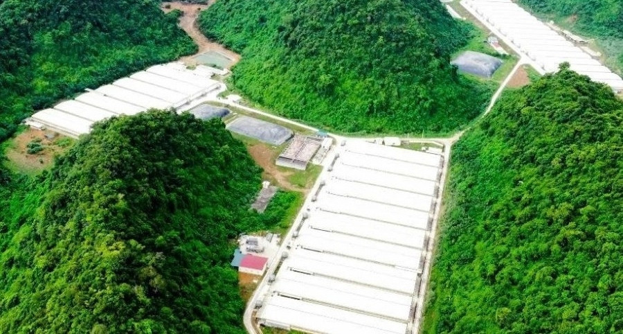 Mưa xối xả cuối giờ chiều ở Hà Nội, nhiều xe chết máy giữa đường ngập sâu插图4