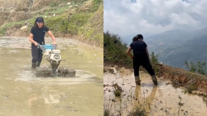 Dân mạng hỏi liệu anh chàng đi săn mây hay săn công việc mới. (Ảnh chụp màn hình)