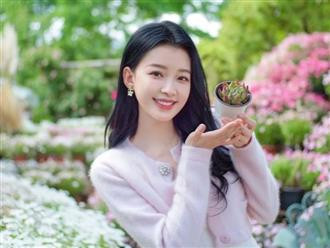 Đúng ngày mai, thứ Năm 20/8/2026, 3 con giáp 'ăn trọn lộc trời', Thần tài theo gót, trúng số độc đắc đổi vận, sự nghiệp thăng hoa