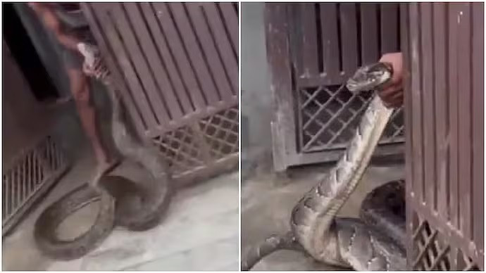 Bắt sống con trăn khổng lồ bò vào nhà dân - Ảnh 1.
