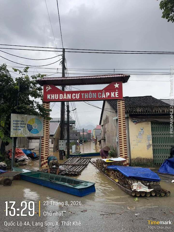Người dân chủ động sử dụng thuyền bè, di chuyển đồ dùng, vật nuôi của gia đình đến nơi an toàn.