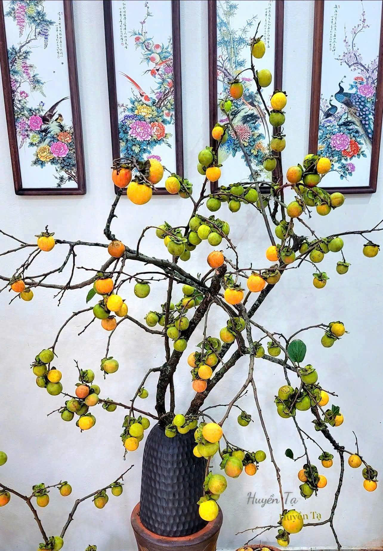 https://static-images.vnncdn.net/vps_images_publish/000001/000003/2026/8/25/binhhoa-b-3210.jpeg