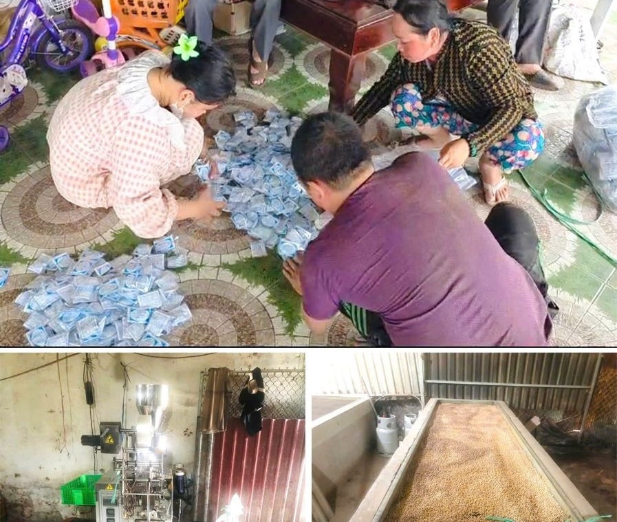 a2Khởi tố cặp vợ chồng giả.jpg