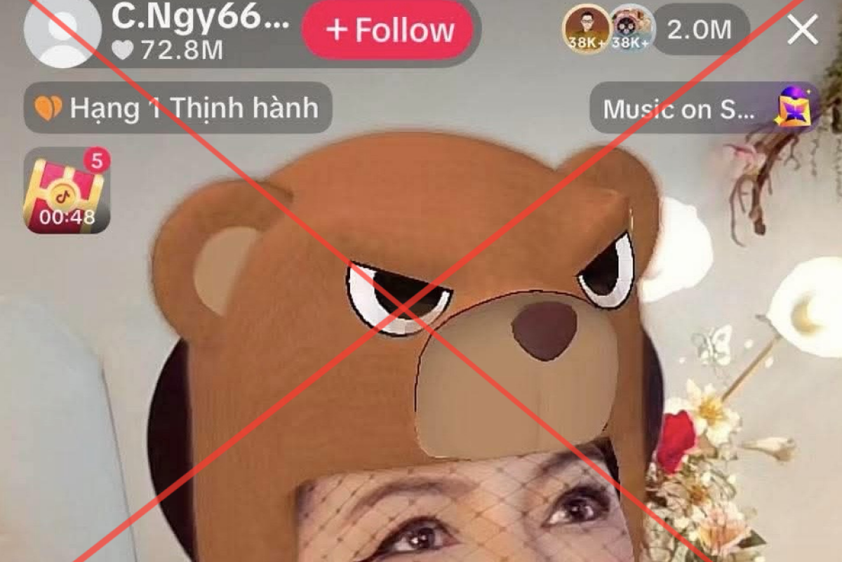 NguyenPhuongHanglivestream