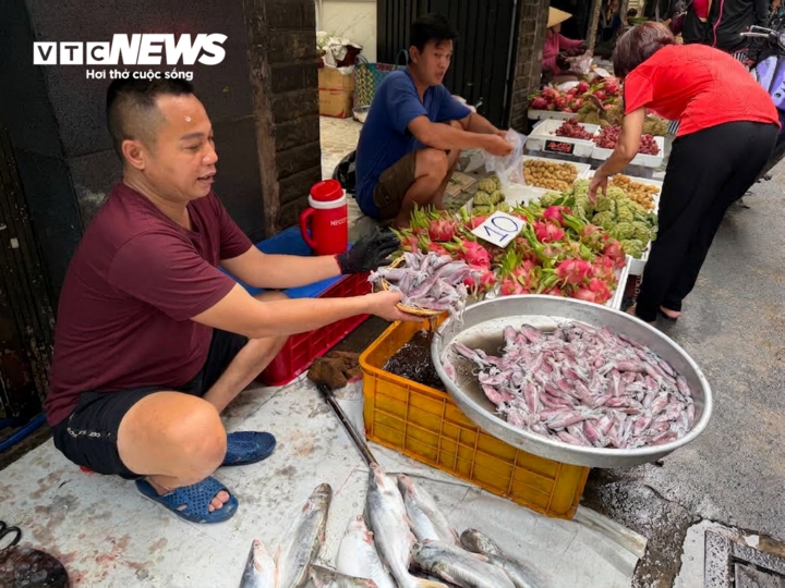 Mực được bán với giá 100.000 đồng/kg.