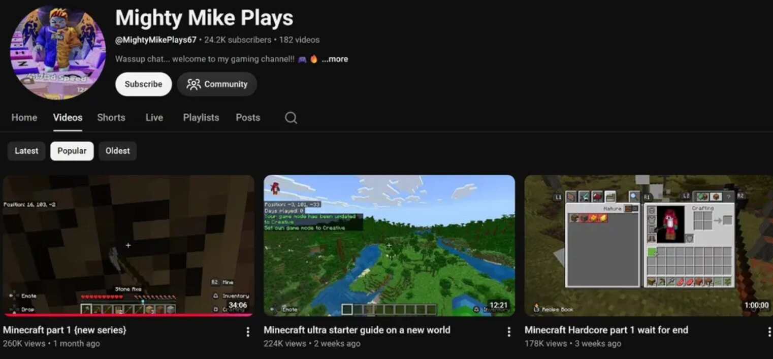 youtuber.jpg
