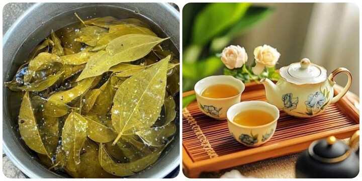 Nước vối là thức uống giảm cân rất hiệu quả