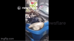 b2c5ik-1790734807.gif